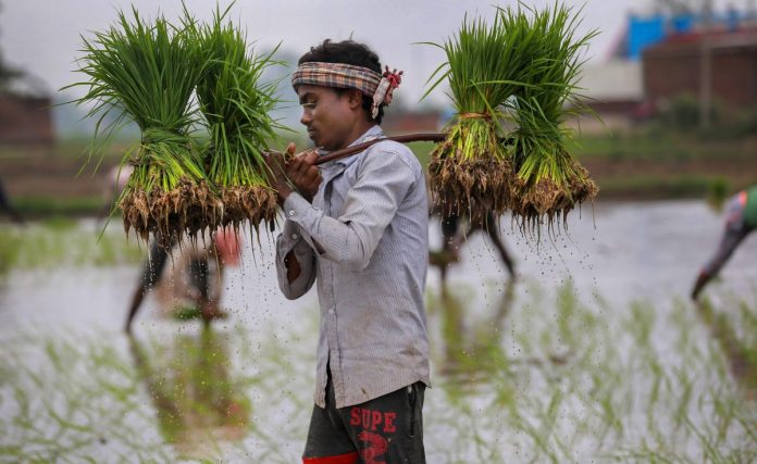 latest news on news on farmers and agrarian crisis news on farmers and agrarian crisis