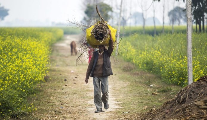 Latest News on Inequality | ThePrint.in news on inequality