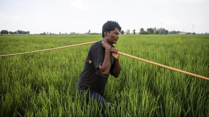 News on politics | ThePrint.in news on farmer