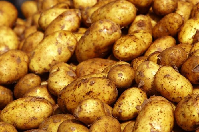 Wacker-wins-EU-approval-for-novel-ingredient