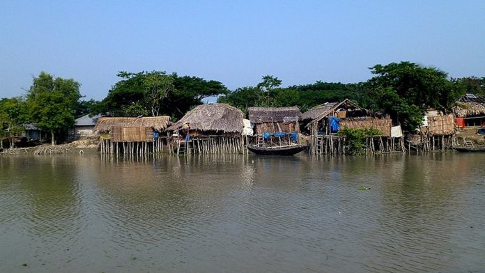 Sundarbans-696x392